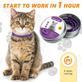 3Pcs Calming Collar